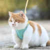 Luminous Cat Vest Harness and Leash Set