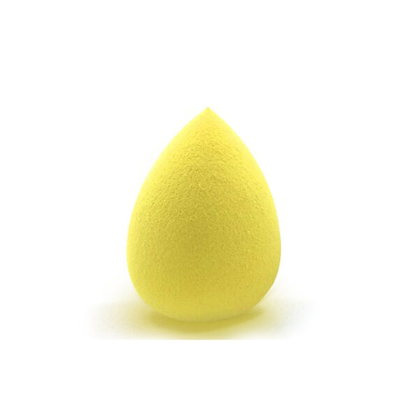 Foundation Sponge