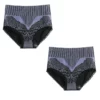 Graphene Fibre Restoration High Waist Briefs