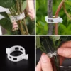 GFOUK™ Plant Support Clips